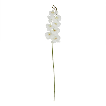 Skandi London Tall White Butterfly Orchid Stem - Skandi London