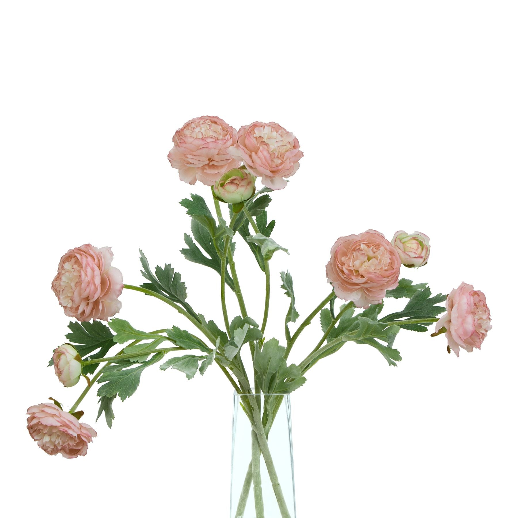 Lund Natural Garden Collection Pink Ranunculus - Skandi London