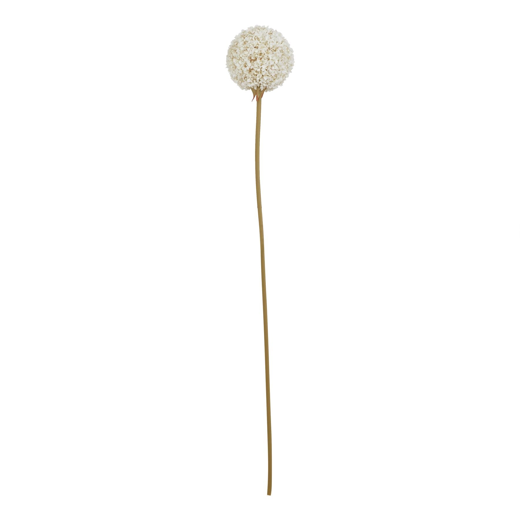 Lund Natural Garden Collection White Allium - Skandi London
