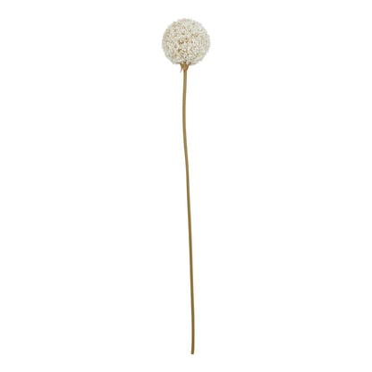 Lund Natural Garden Collection White Allium - Skandi London