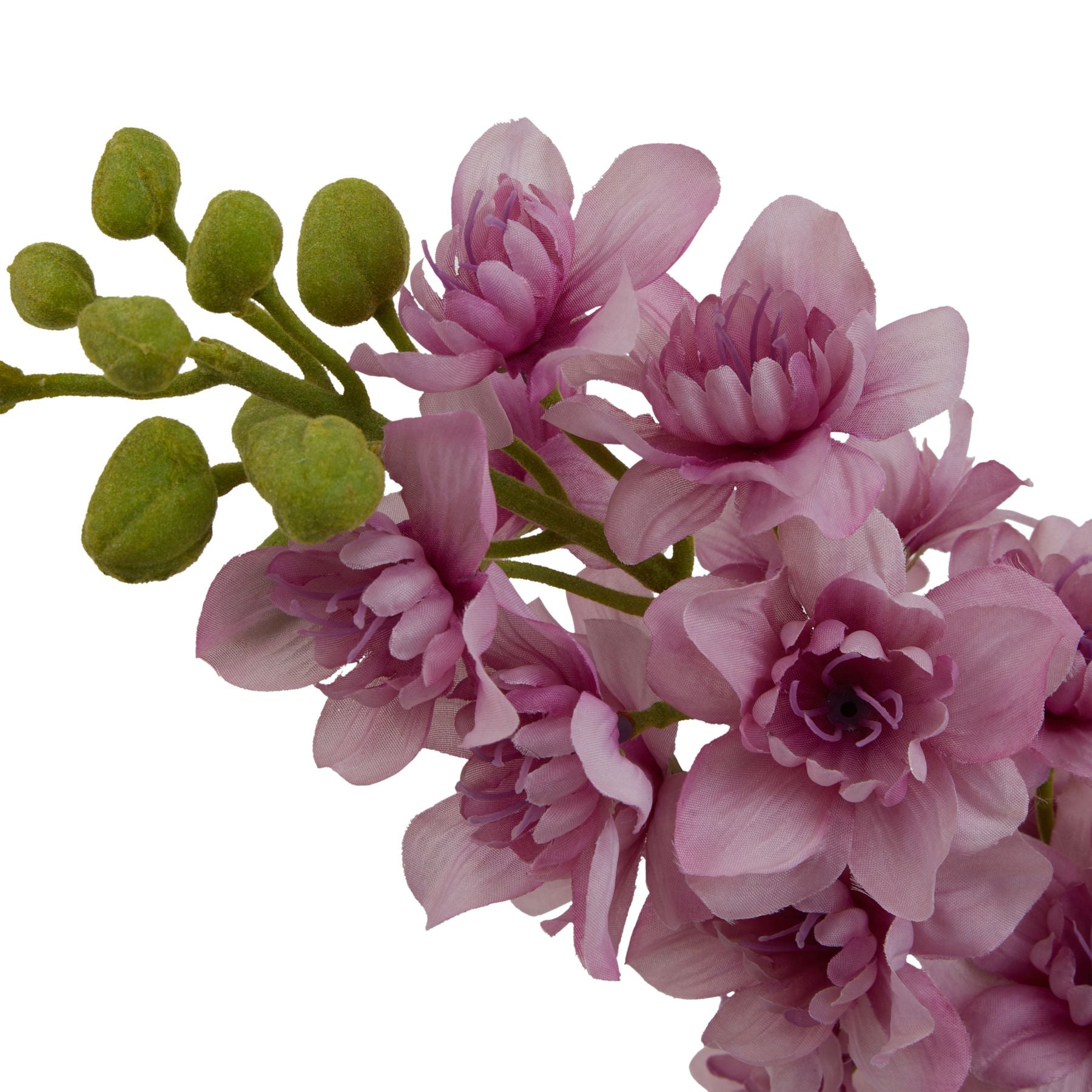 Lund Natural Garden Collection Purple Elatum Delphinium - Skandi London