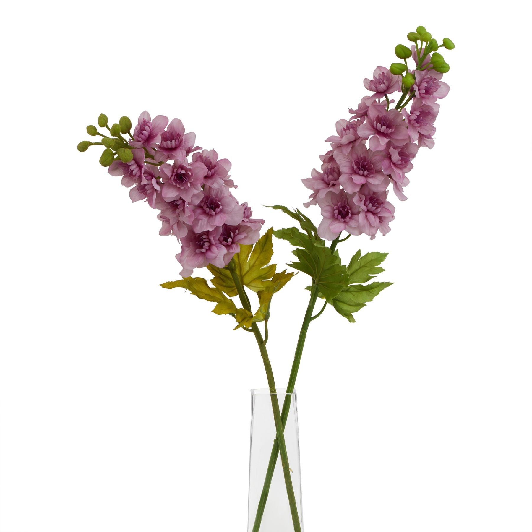 Lund Natural Garden Collection Purple Elatum Delphinium - Skandi London