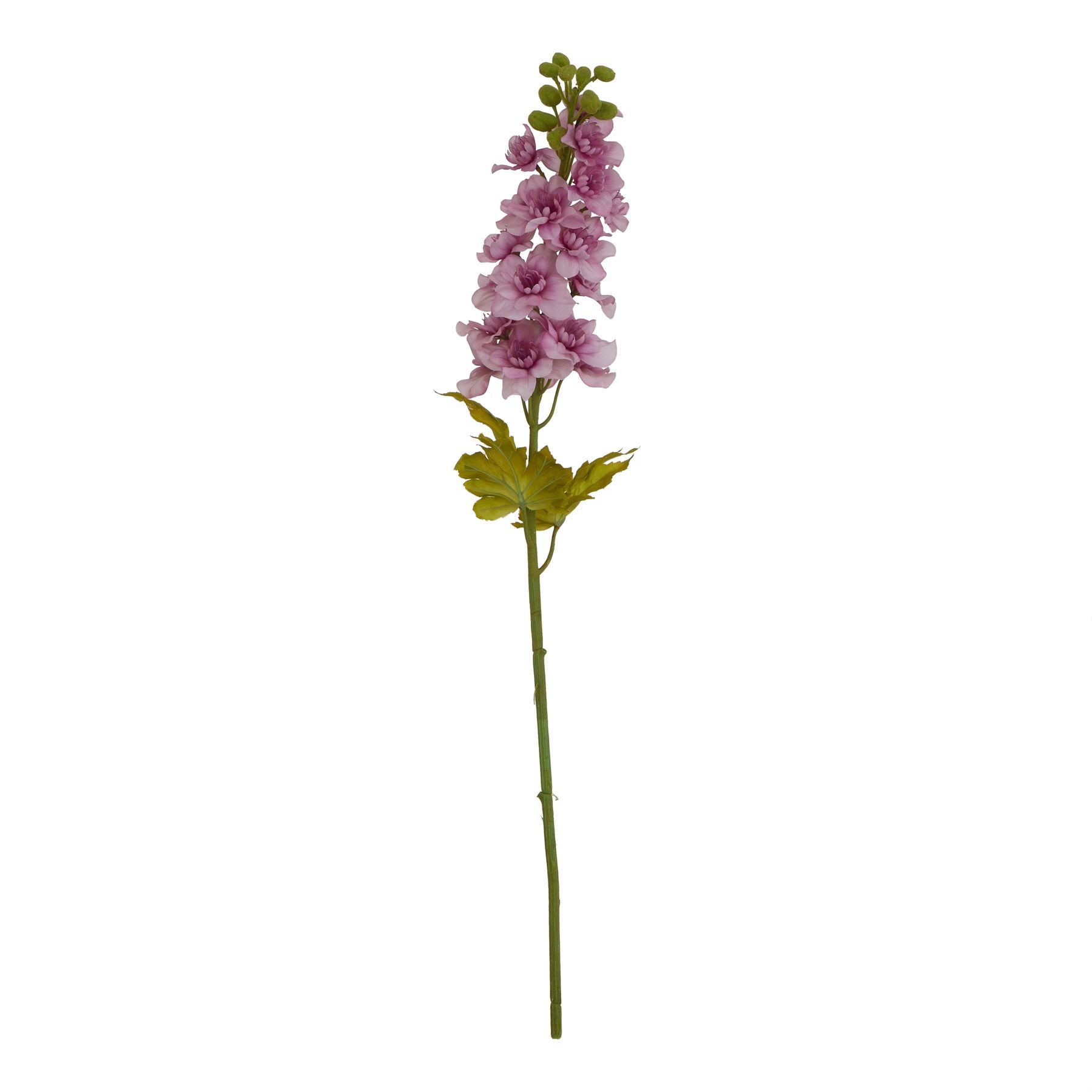 Lund Natural Garden Collection Purple Elatum Delphinium - Skandi London