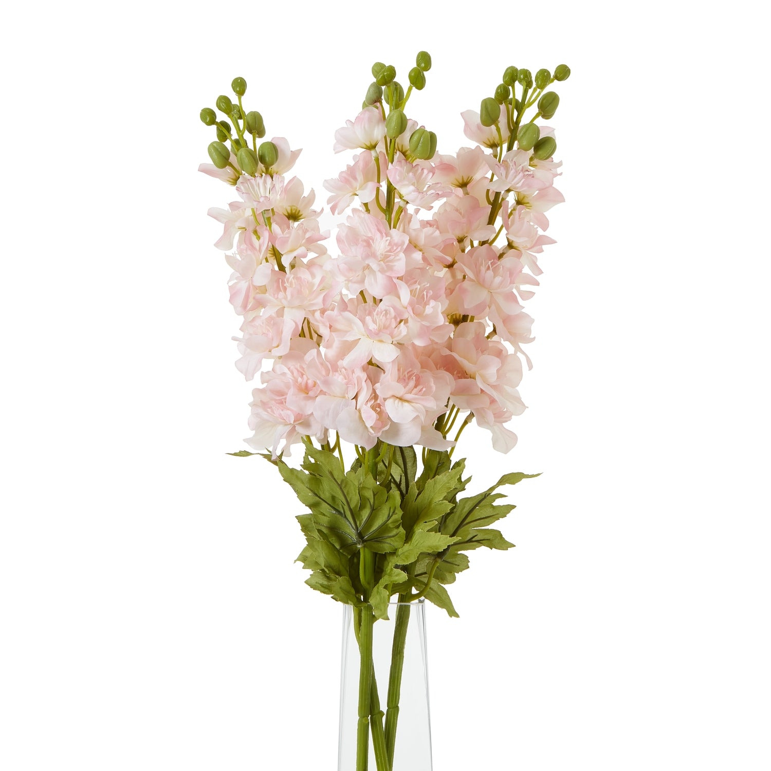Lund Natural Garden Collection Pink Elatum Delphinium - Skandi London