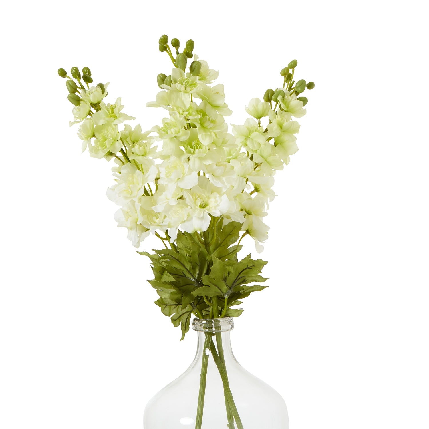 Lund Natural Garden Collection White Elatum Delphinium - Skandi London