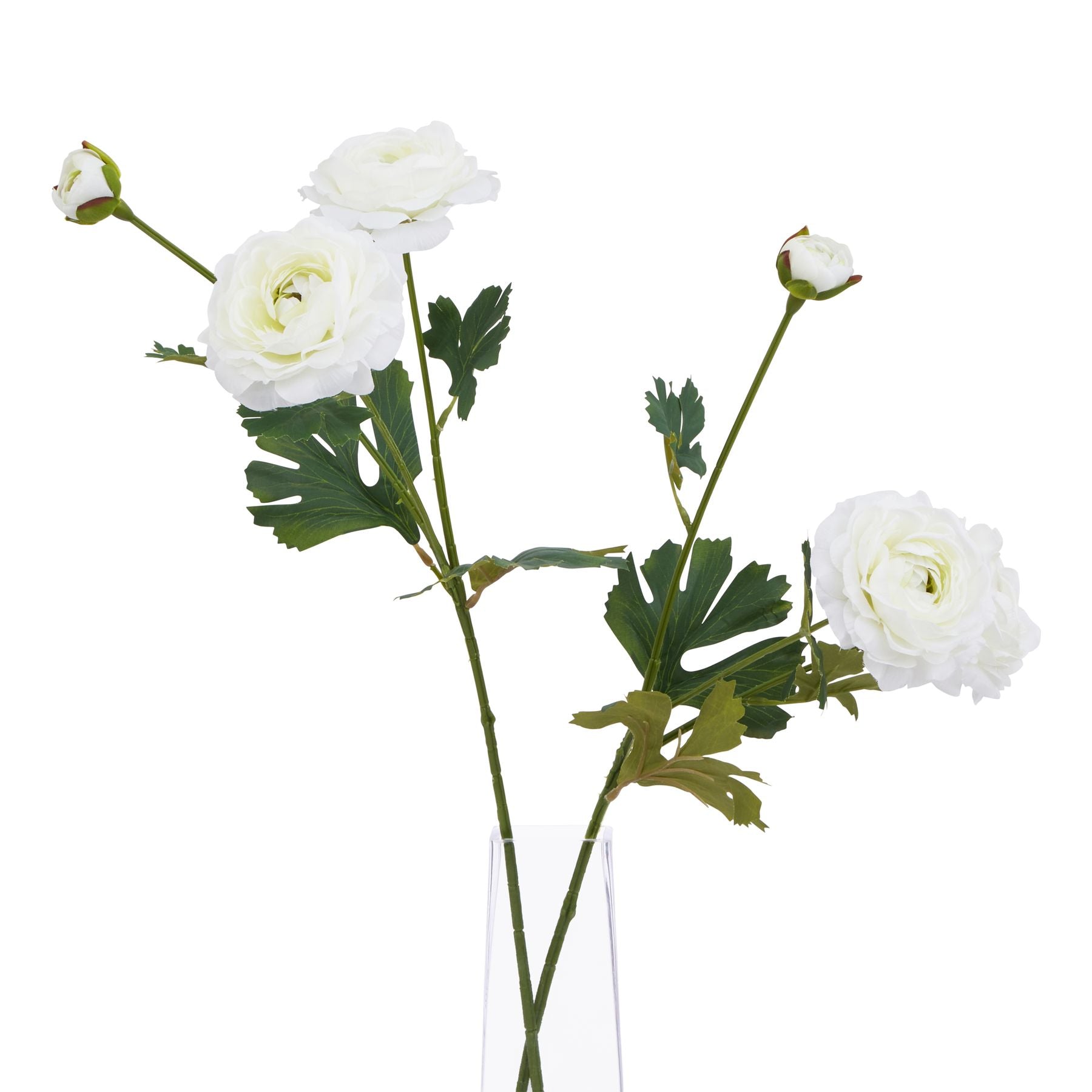 Lund Natural Garden Collection White Ranunculus - Skandi London