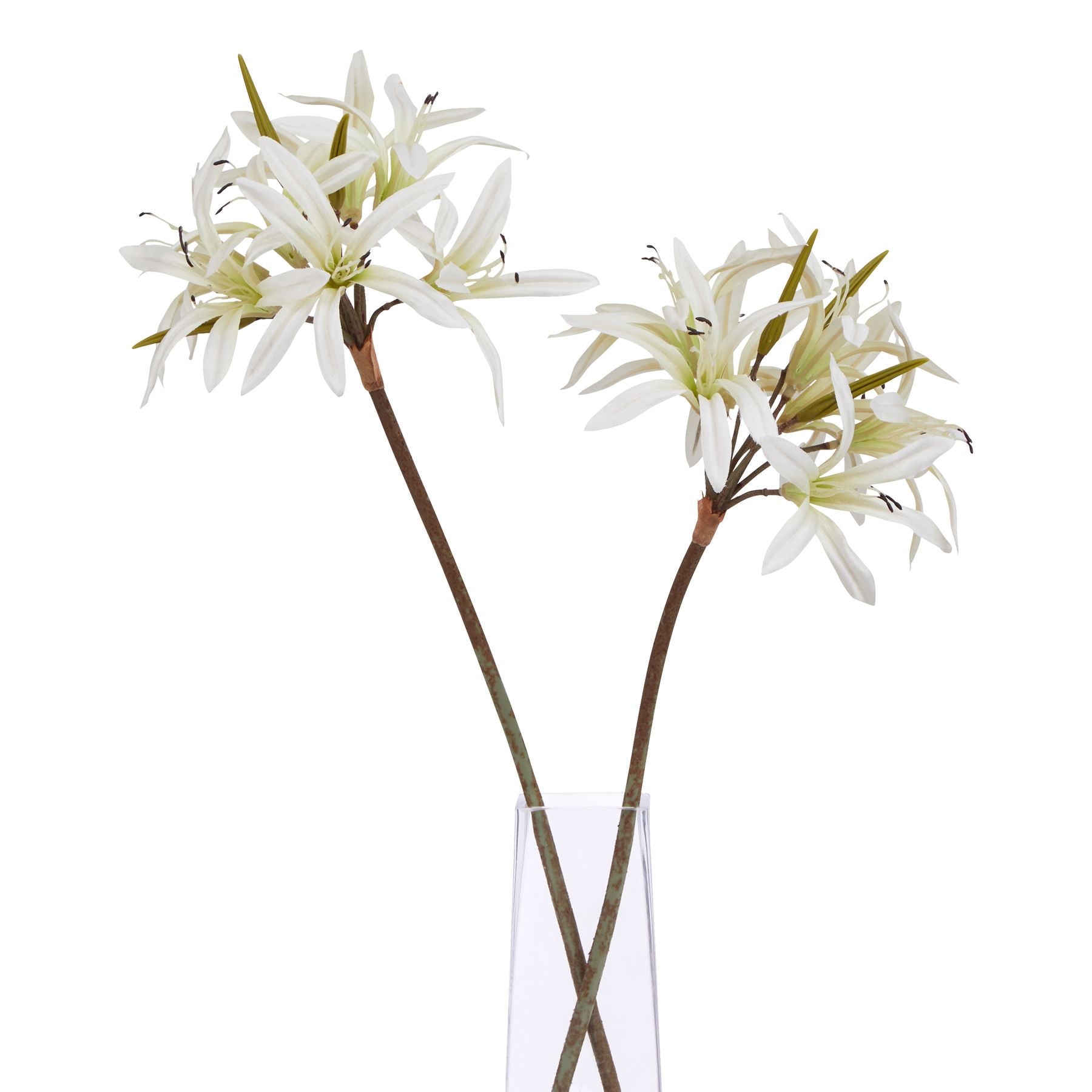 Lund Natural Garden Collection White Nerine Lily Stem - Skandi London