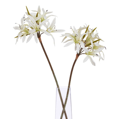 Lund Natural Garden Collection White Nerine Lily Stem - Skandi London