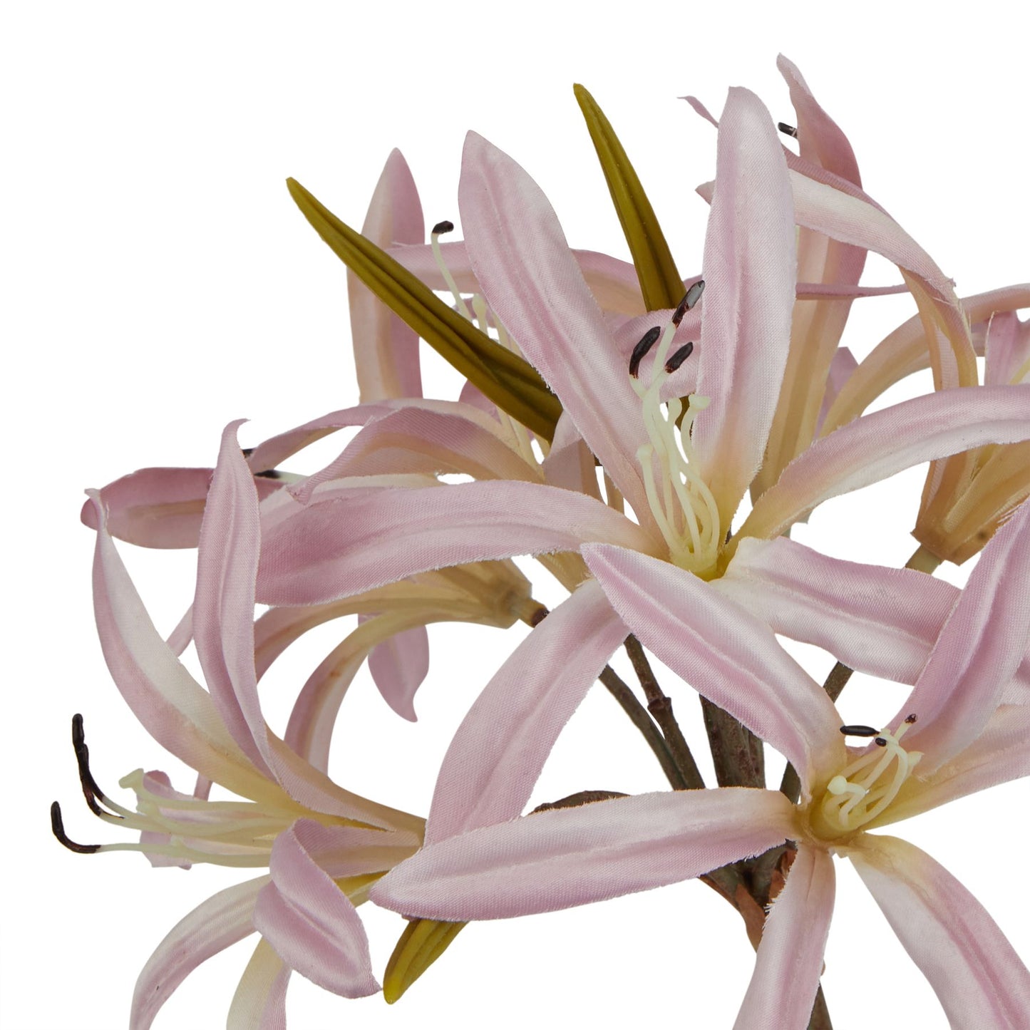 Lund Natural Garden Collection Pink Lily Stem - Skandi London