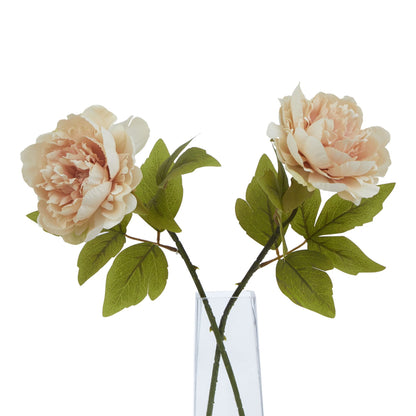 Lund Natural Garden Collection Blush Peony - Skandi London