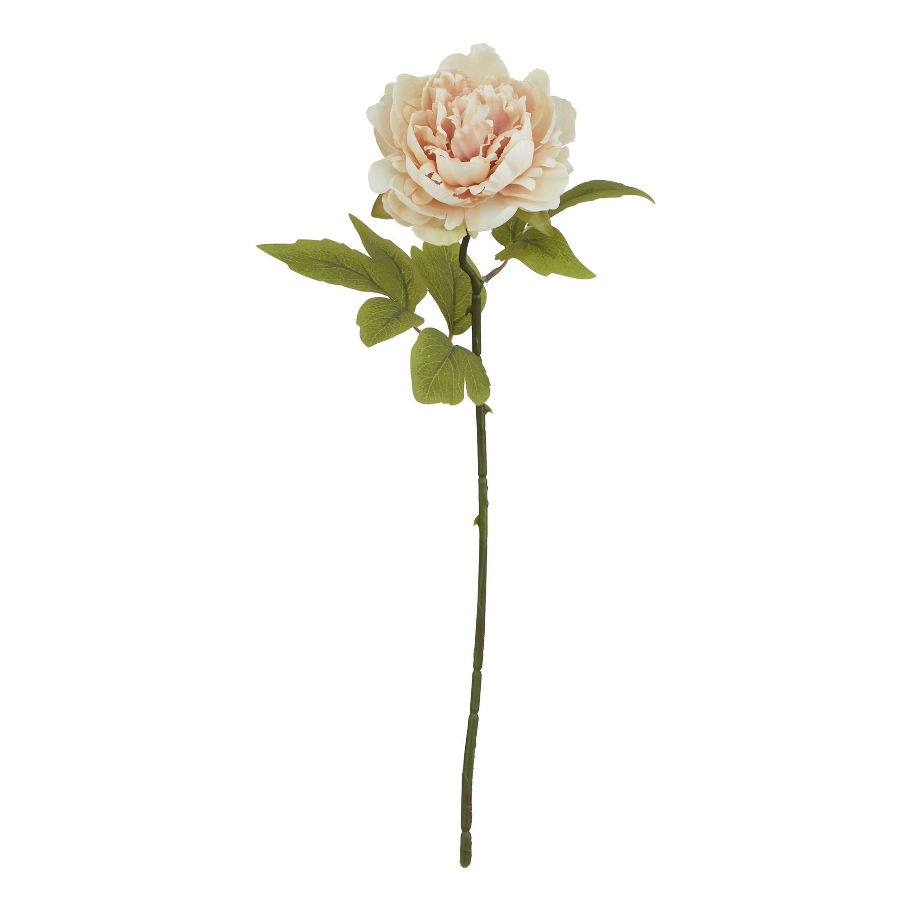 Lund Natural Garden Collection Blush Peony - Skandi London