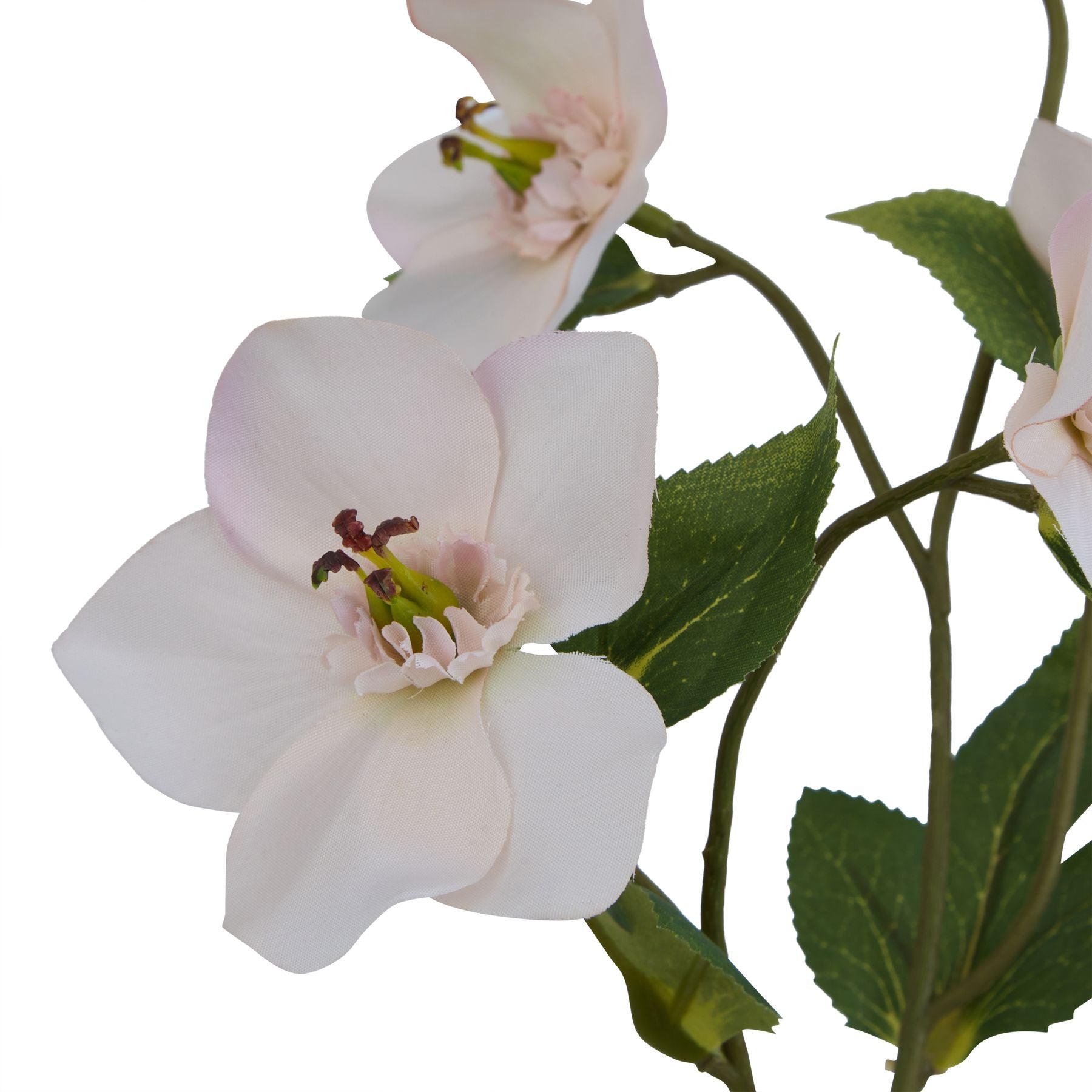 Lund Natural Garden Collection Pale Apricot Hellibore - Skandi London