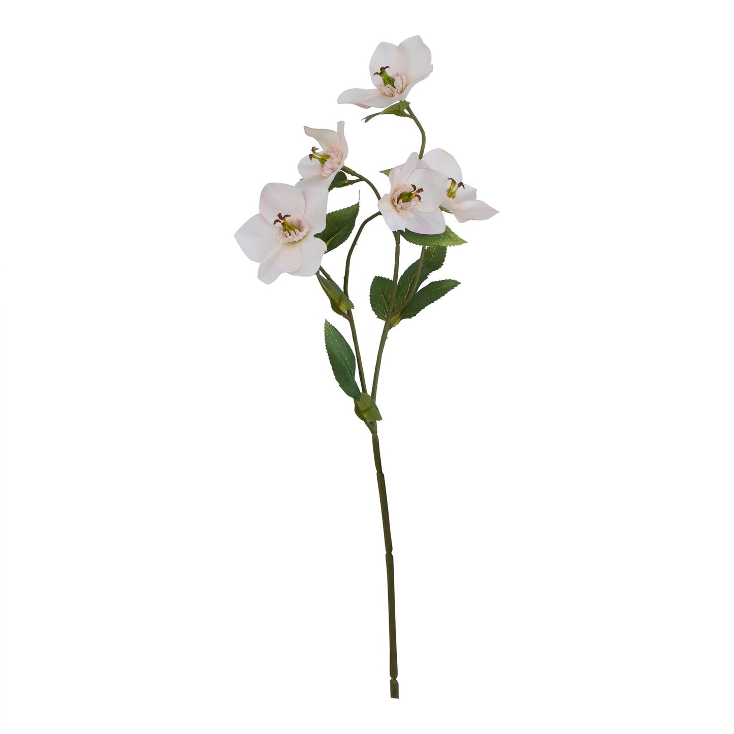 Lund Natural Garden Collection Pale Apricot Hellibore - Skandi London