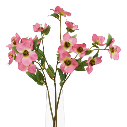 Lund Natural Garden Collection Pink Varigated Hellibore - Skandi London