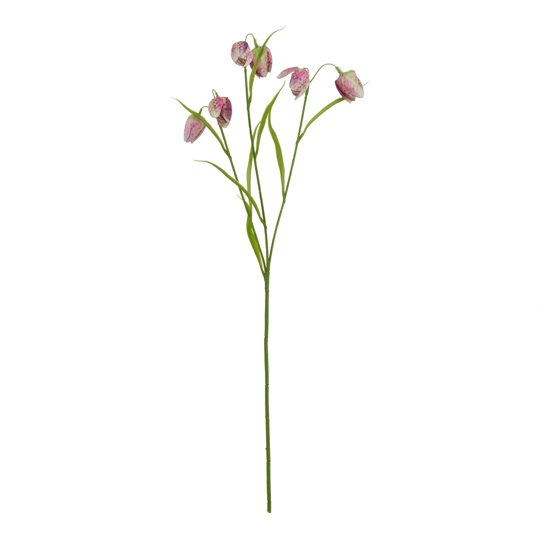 Lund Natural Garden Collection Purple Fritillaria Stem - Skandi London