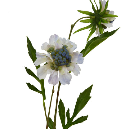 Skandi London Pale Blue Scabious Stem - Skandi London