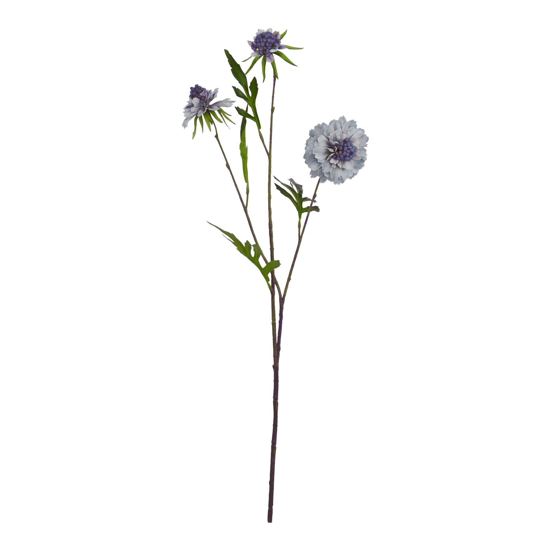 Skandi London Pale Blue Scabious Stem - Skandi London