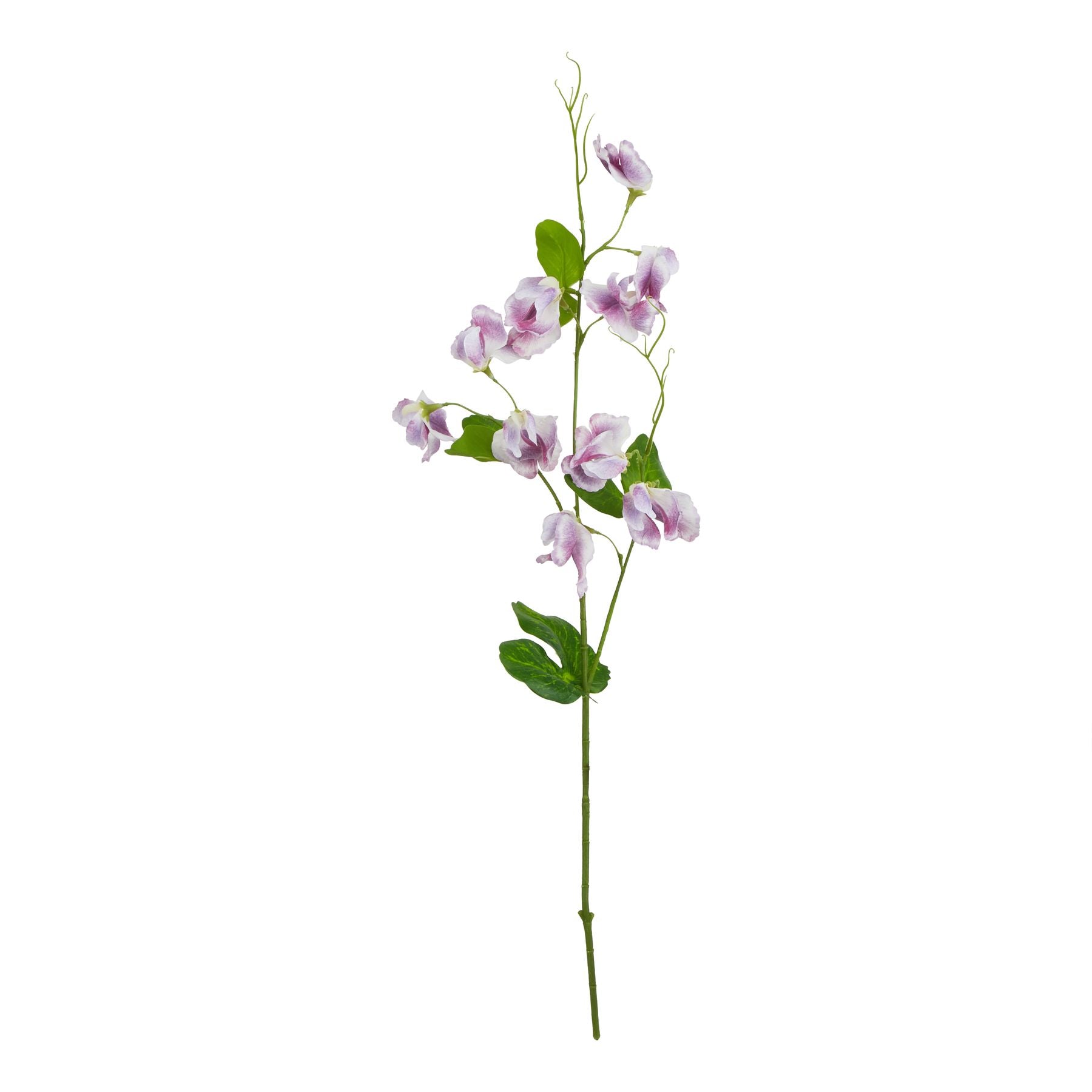 Lund Natural Garden Collection Purple Sweetpea Stem - Skandi London
