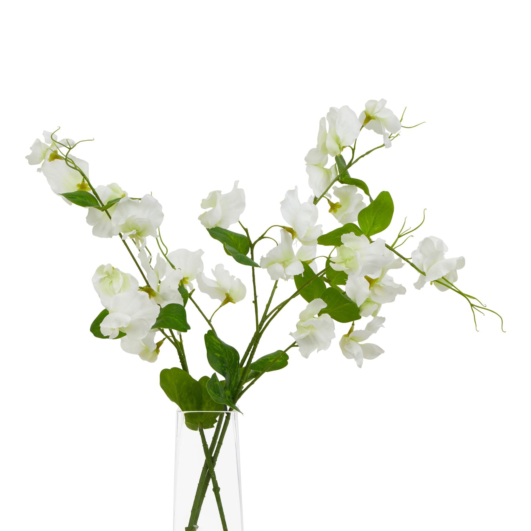 Lund Natural Garden Collection White Sweetpea Stem - Skandi London