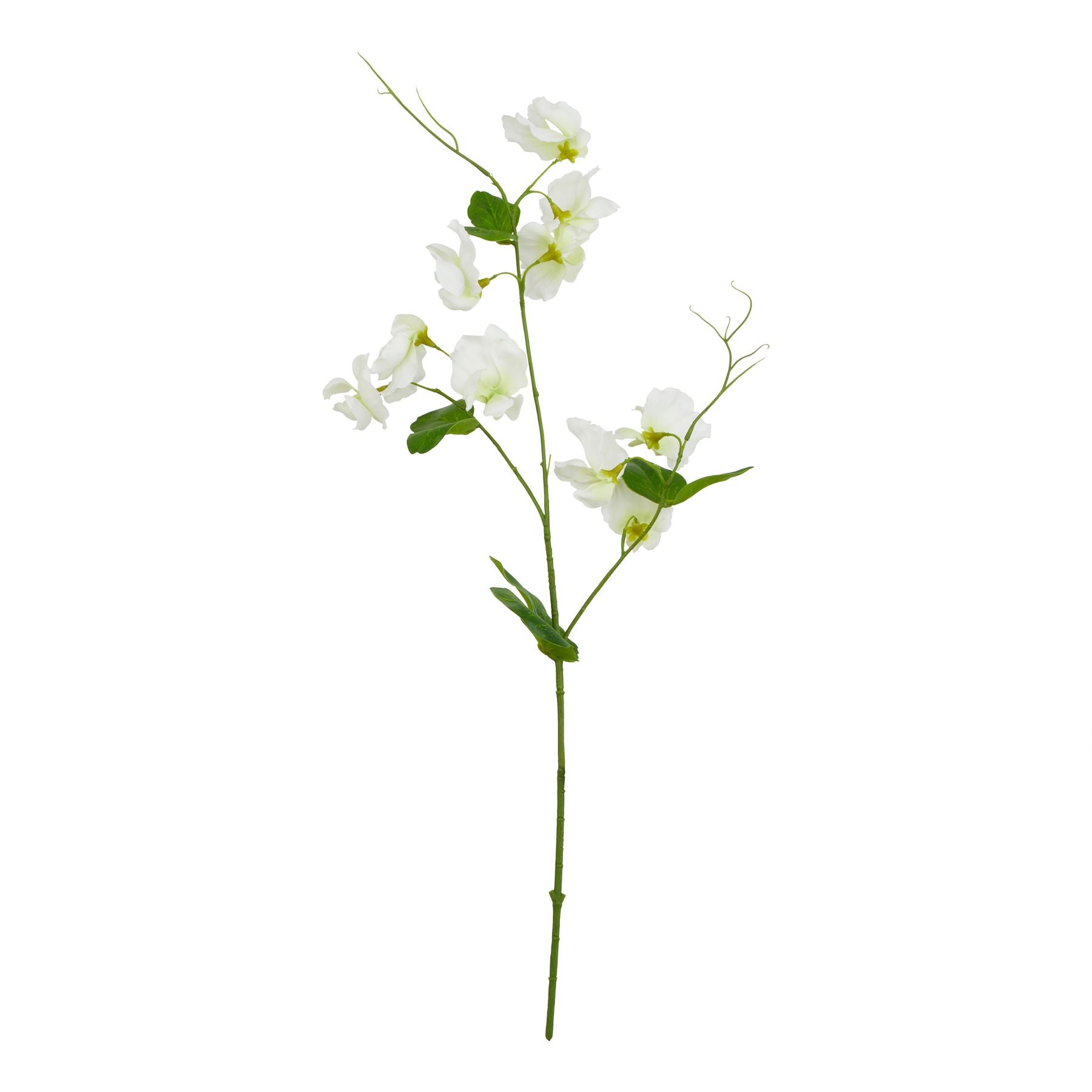 Lund Natural Garden Collection White Sweetpea Stem - Skandi London