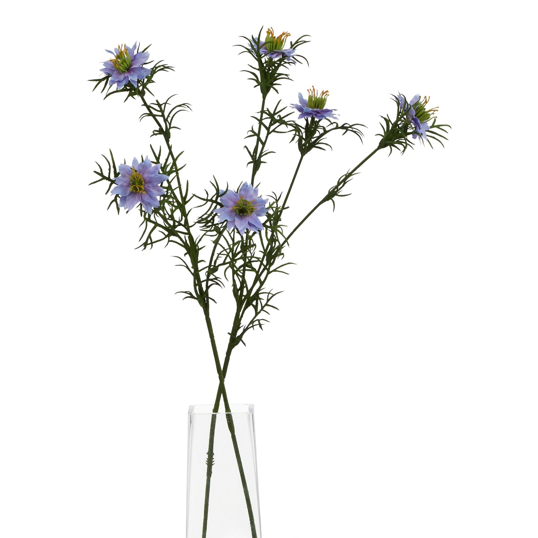 Lund Natural Garden Collection Purple Nigella Love In A Mist - Skandi London