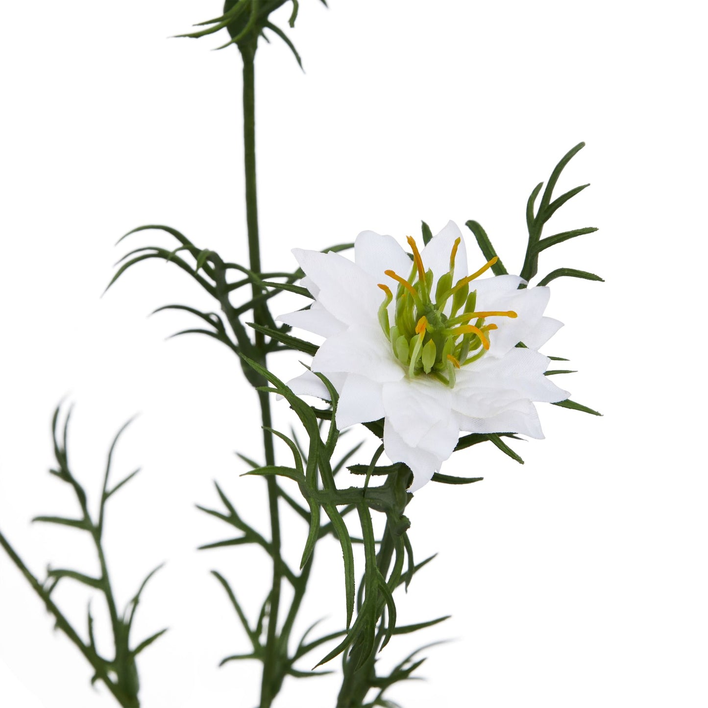Lund Natural Garden Collection White Nigella Love In A Mist - Skandi London