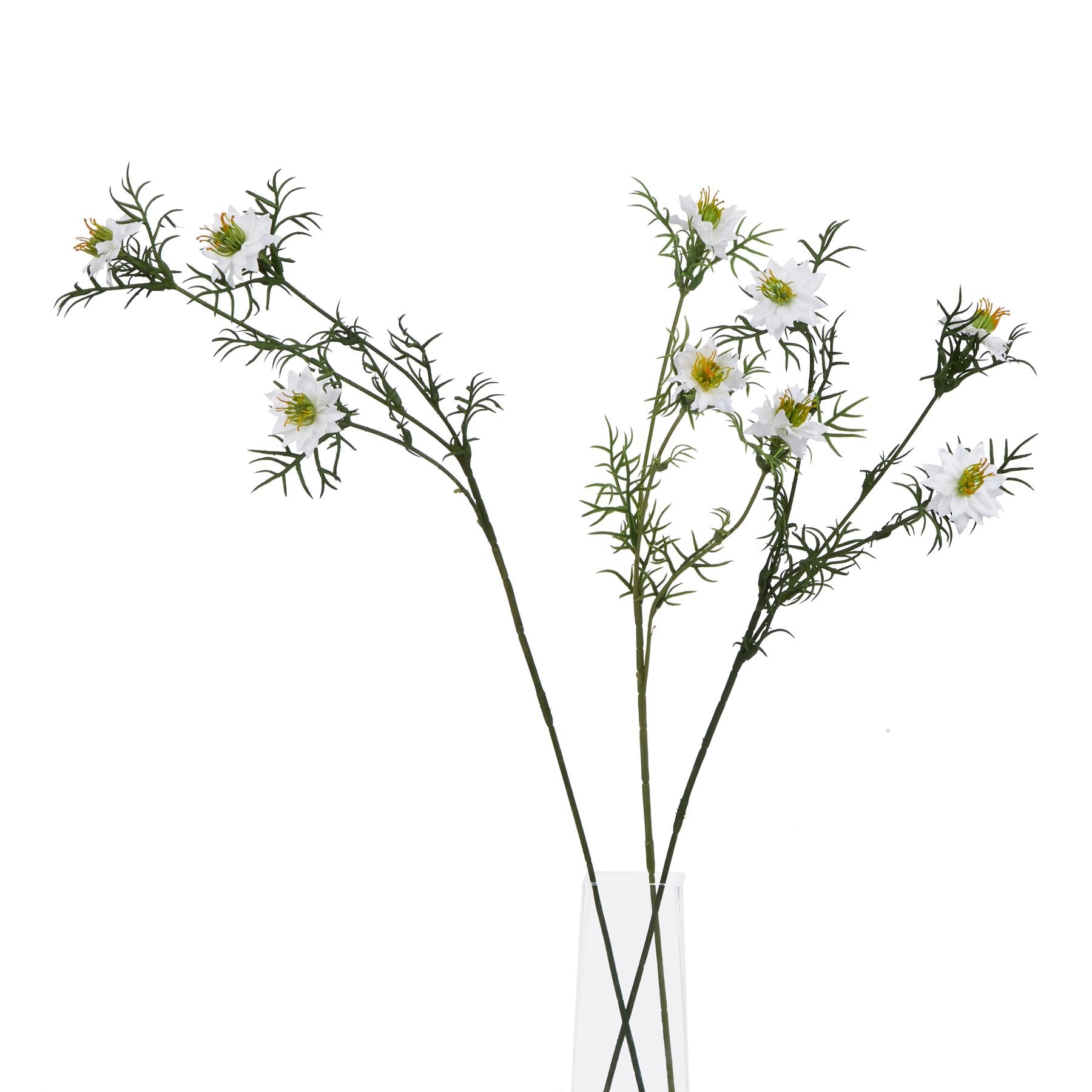 Lund Natural Garden Collection White Nigella Love In A Mist - Skandi London