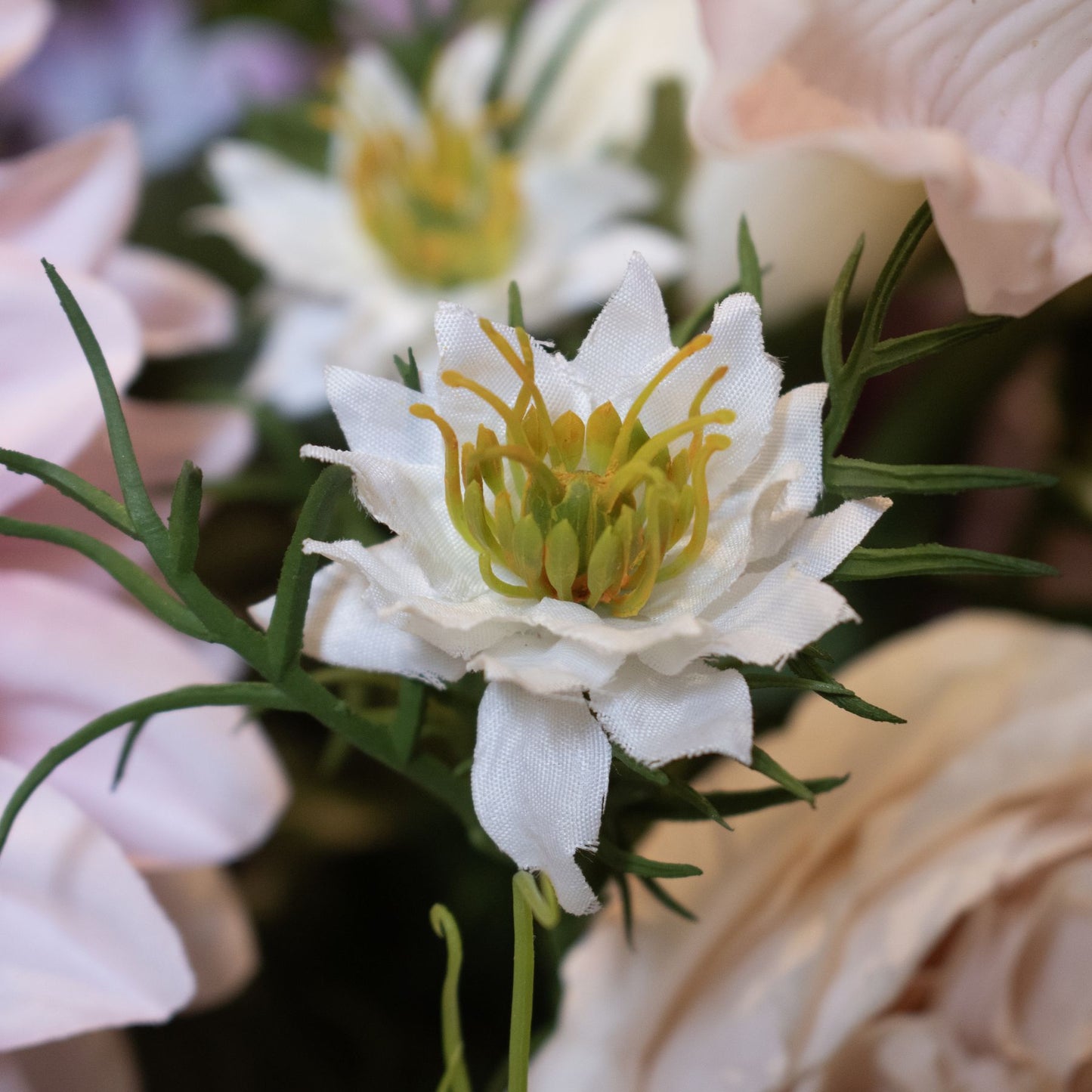 Lund Natural Garden Collection White Nigella Love In A Mist - Skandi London