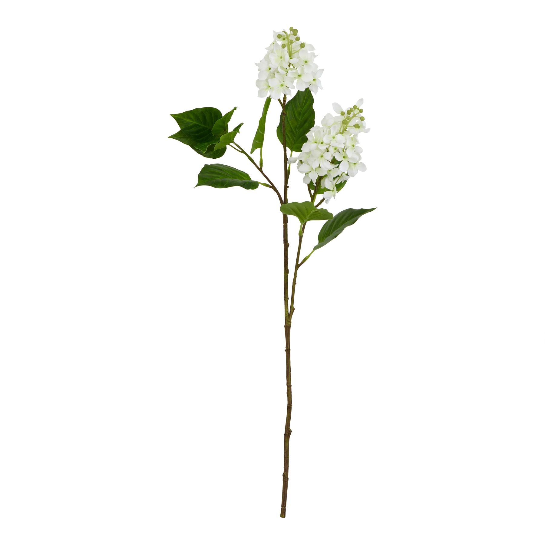 Lund Natural Garden Collection White Lilac Stem - Skandi London