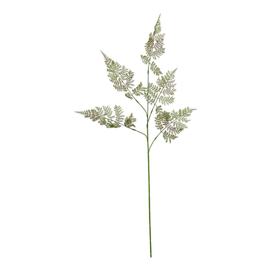Lund Natural Garden Collection Large Bracken Fern Spray - Skandi London