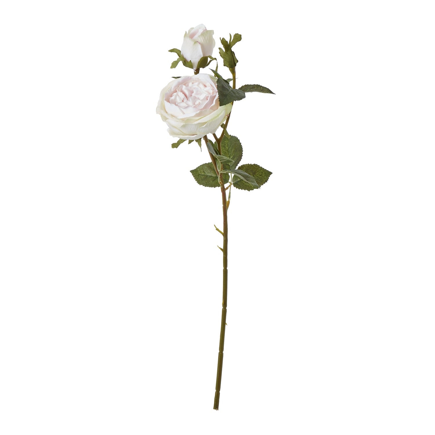 Lund Natural Garden Collection Pink Charity Rose - Skandi London