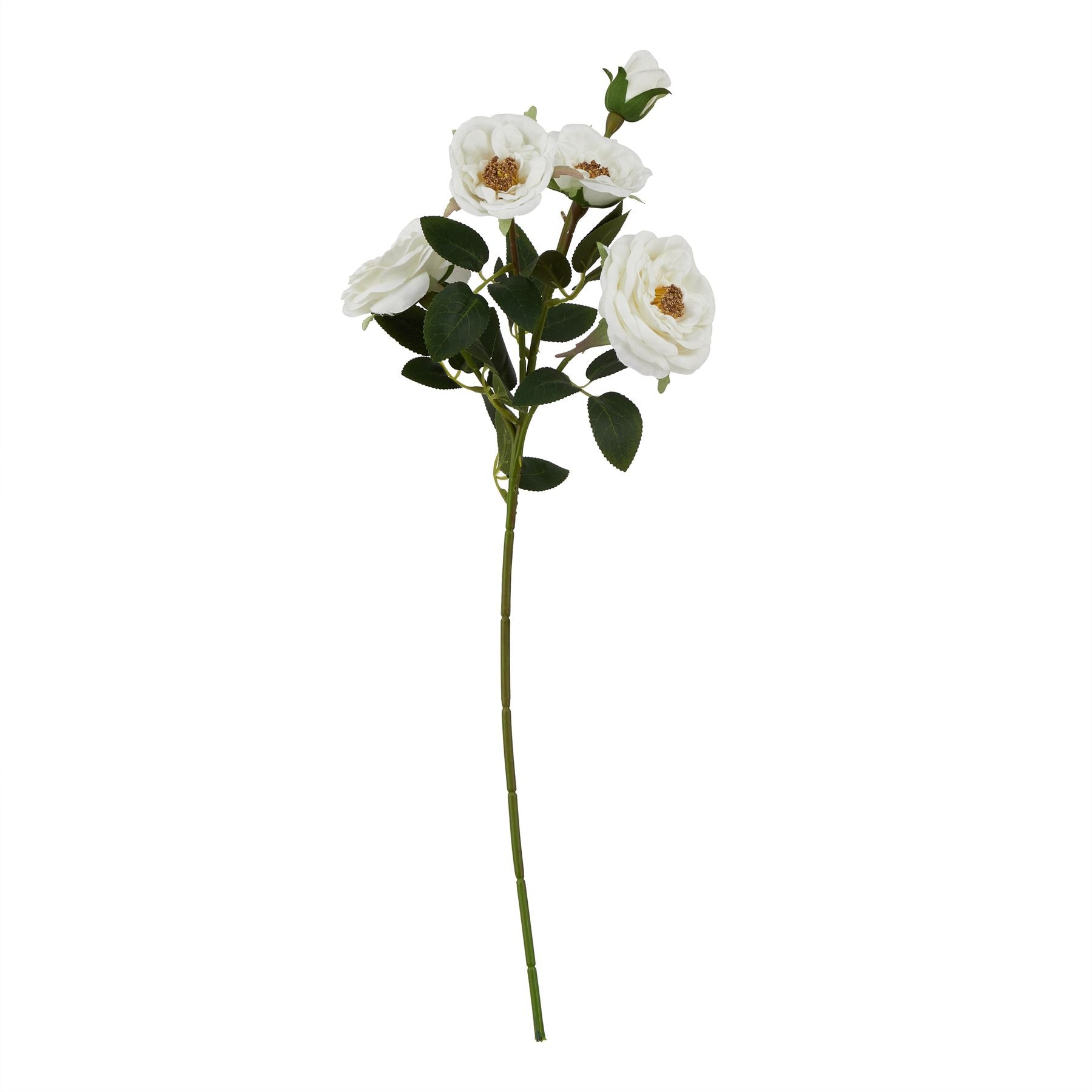 Lund Natural Garden Collection White Hedge Rose Stem - Skandi London