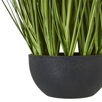 White Allium Plant In Pot - Skandi London