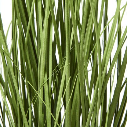 White Agapanthus Plant In Pot - Skandi London
