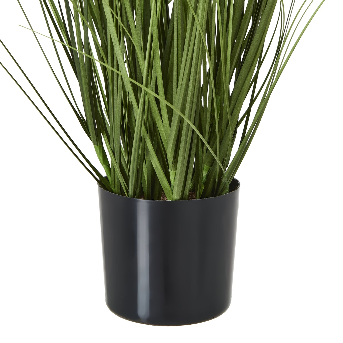 White Agapanthus Plant In Pot - Skandi London