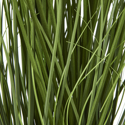 Blue Agapanthus Plant In Pot - Skandi London