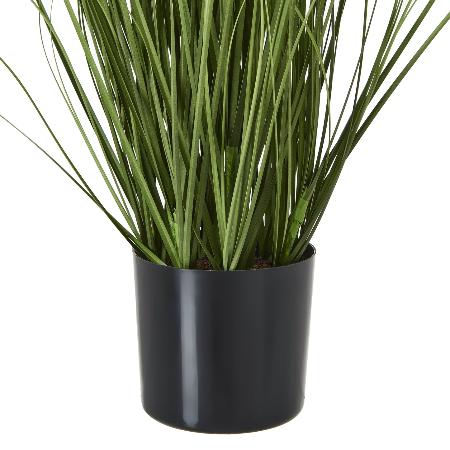 Purple Agapanthus Plant In Pot - Skandi London
