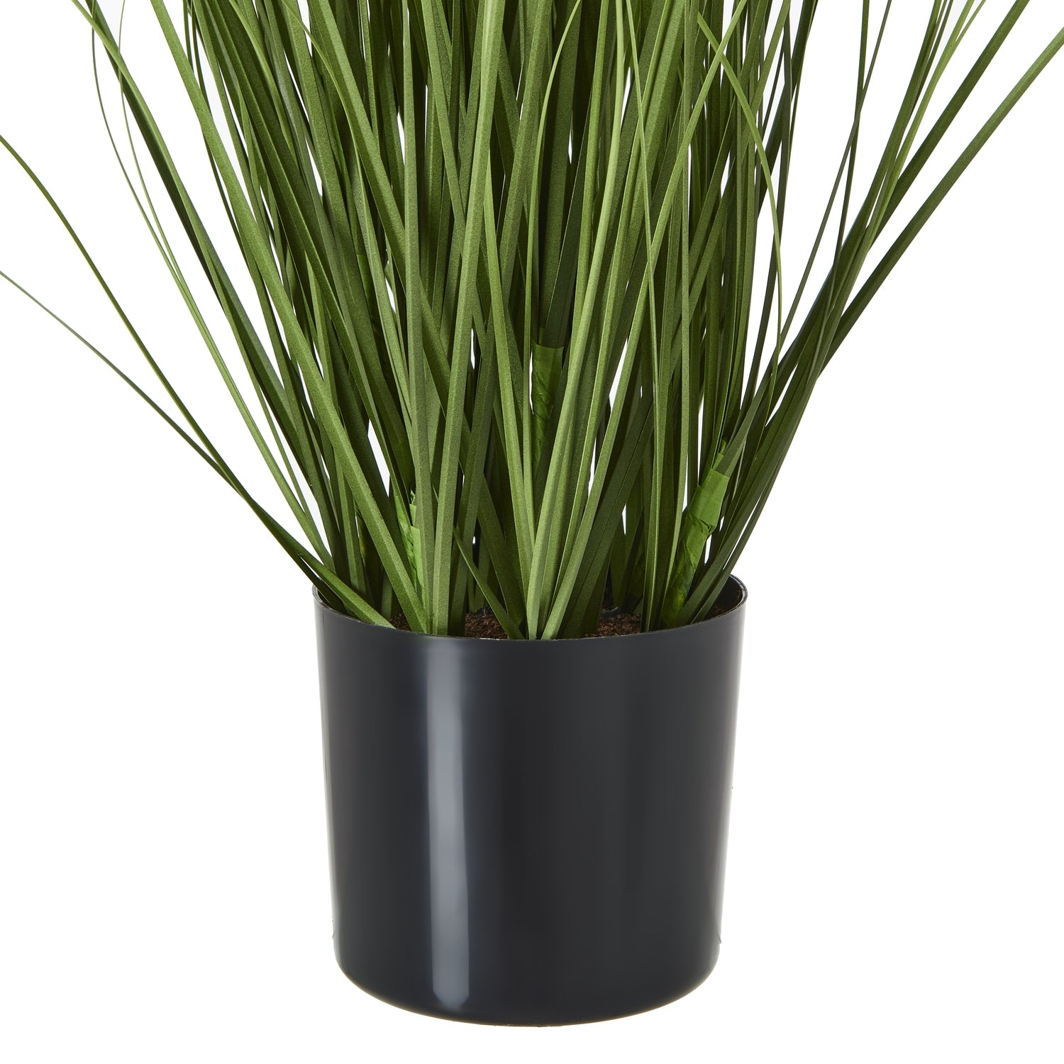 Purple Agapanthus Plant In Pot - Skandi London
