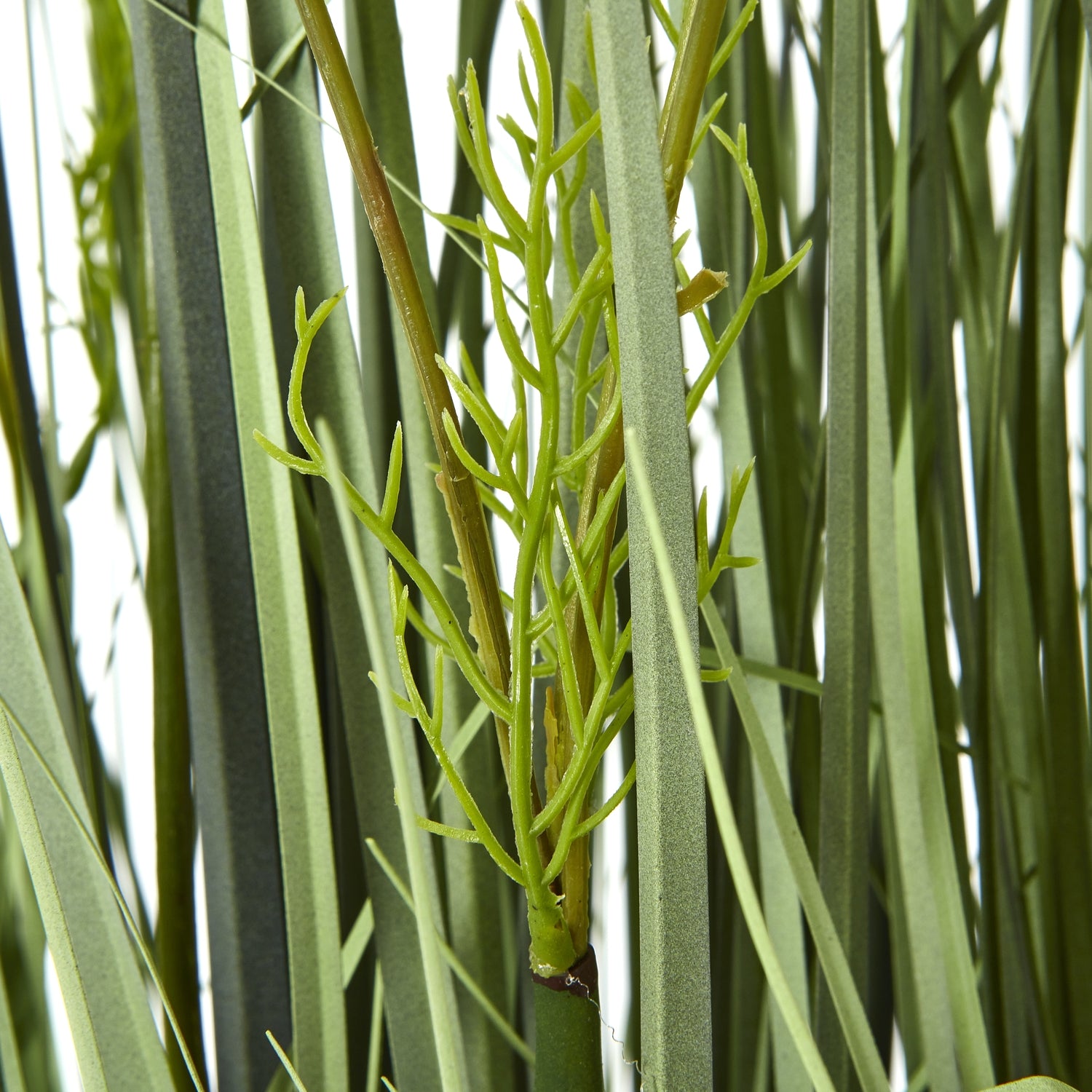 Large White Meadow Plant In Pot - Skandi London