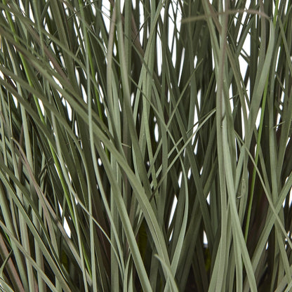 Fountain Grass Plant In Pot - Skandi London