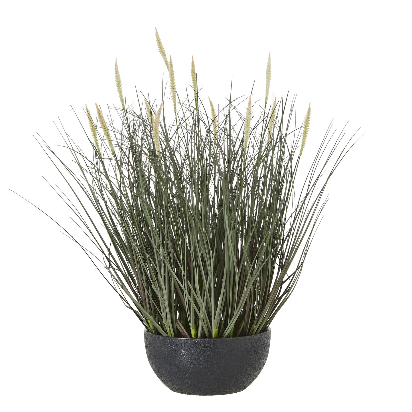 Fountain Grass Plant In Pot - Skandi London
