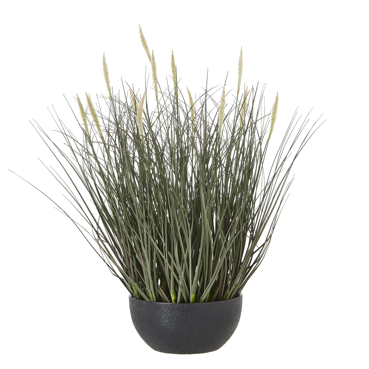 Fountain Grass Plant In Pot - Skandi London