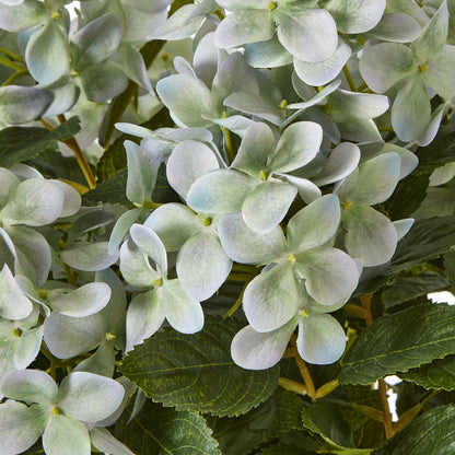 Medium Green Hydrangea Plant In Pot - Skandi London