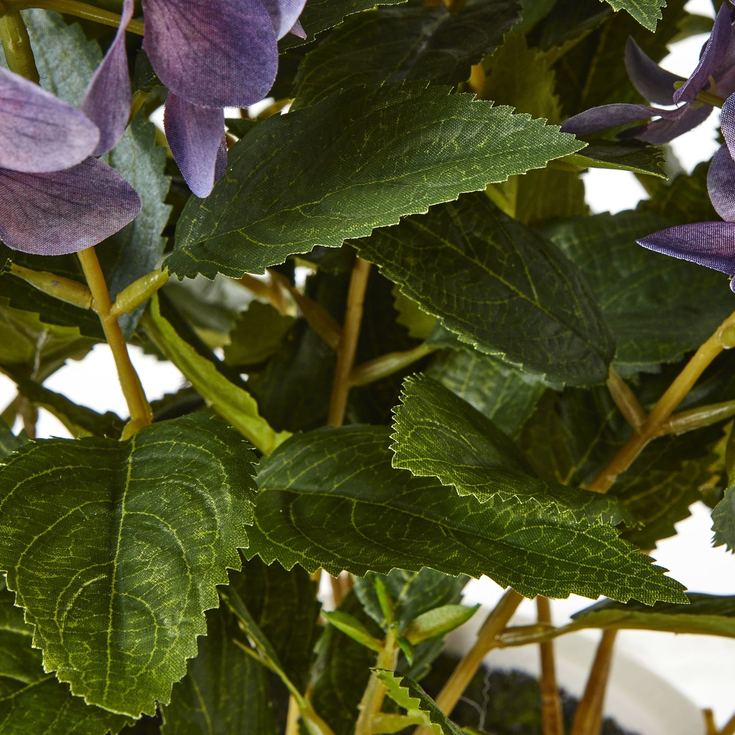 Medium Purple Hydrangea Plant In Pot - Skandi London