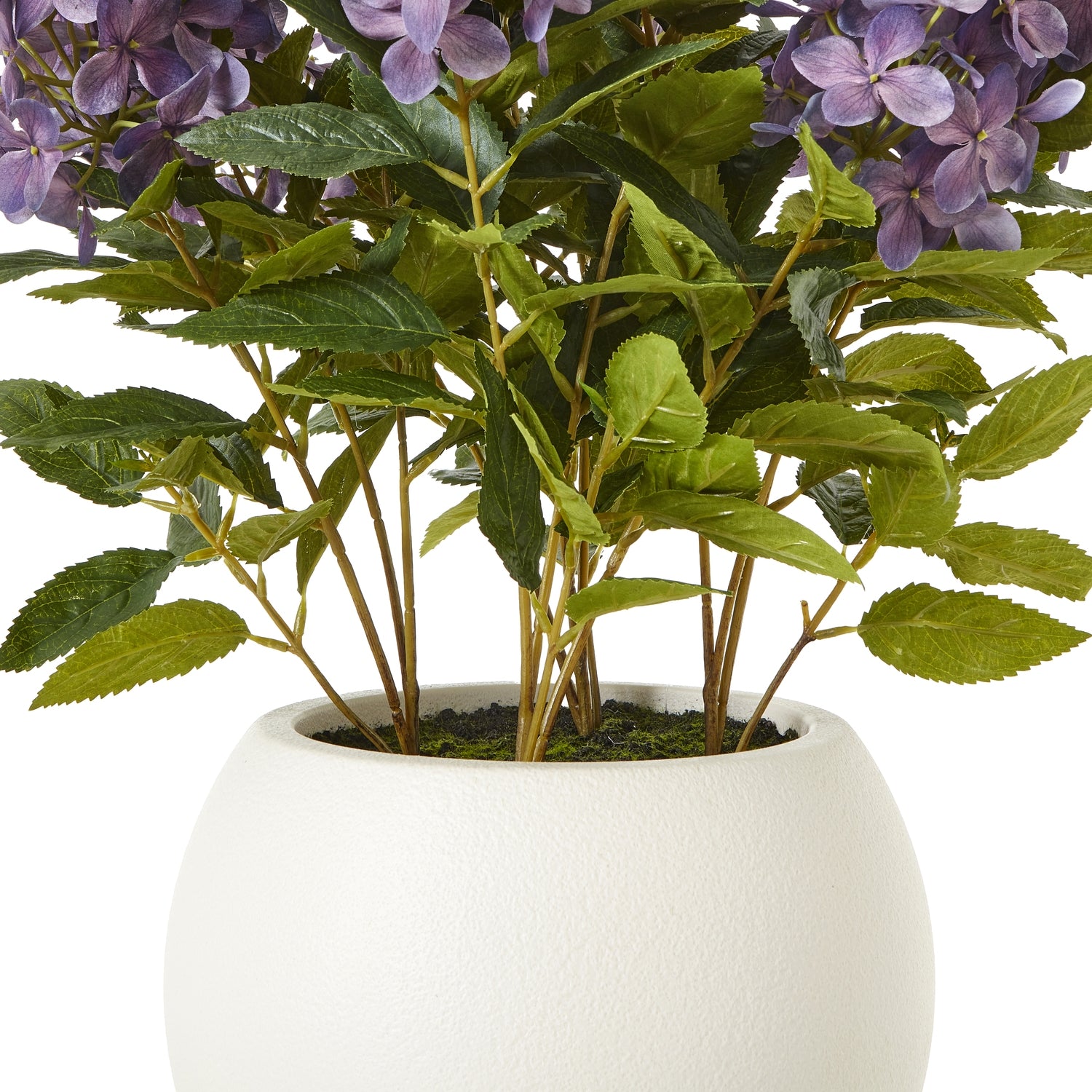 Medium Purple Hydrangea Plant In Pot - Skandi London