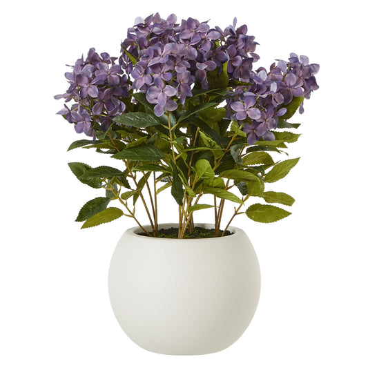 Medium Purple Hydrangea Plant In Pot - Skandi London