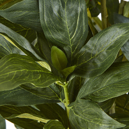 Large White Peony Plant In Pot - Skandi London