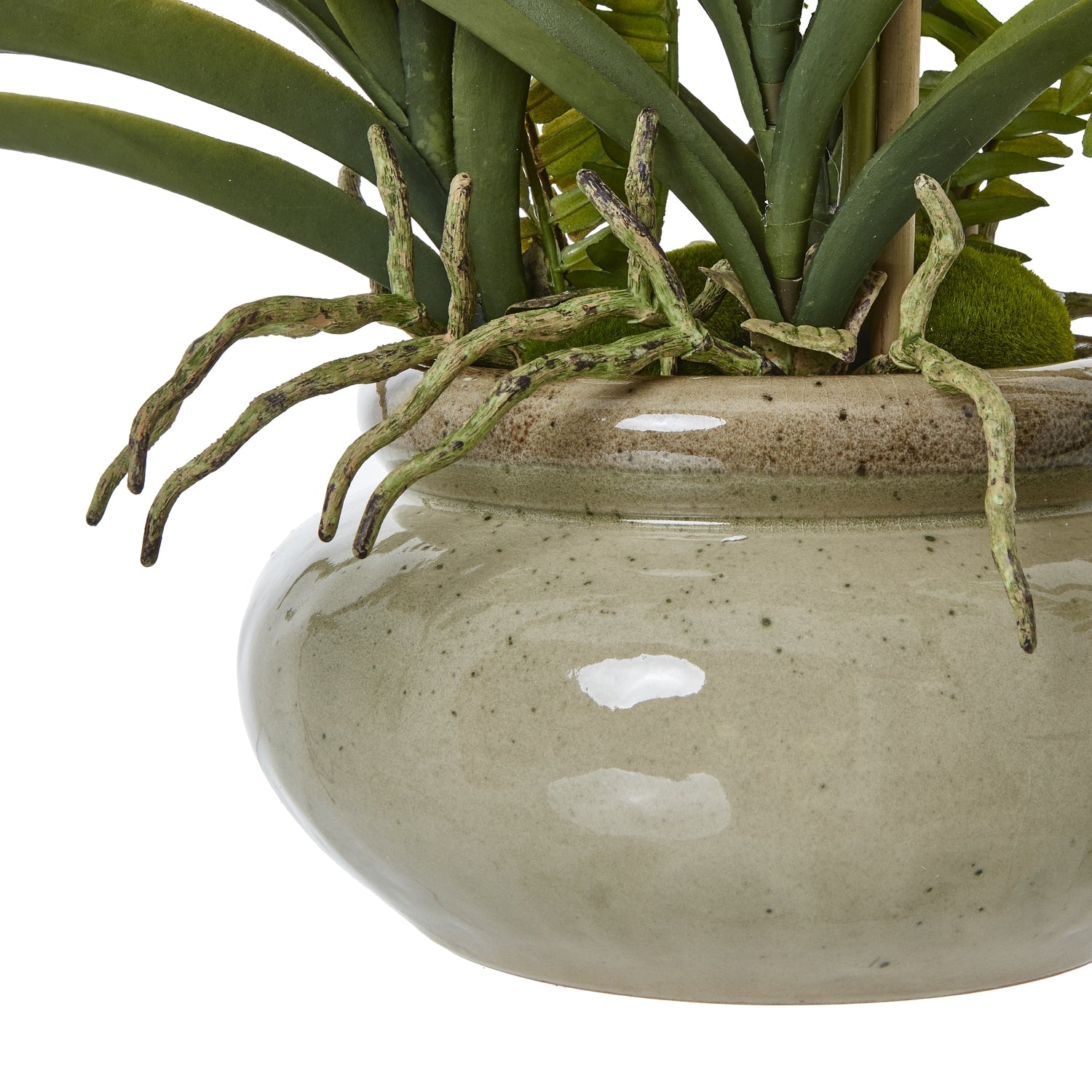 White Vanda Orchid Plant In Ceramic Pot - Skandi London