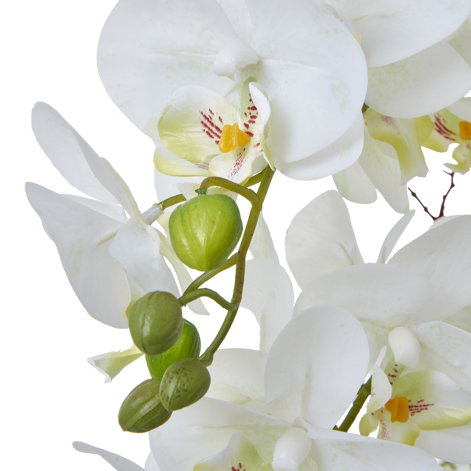Large White Orchid In Ceramic Pot - Skandi London