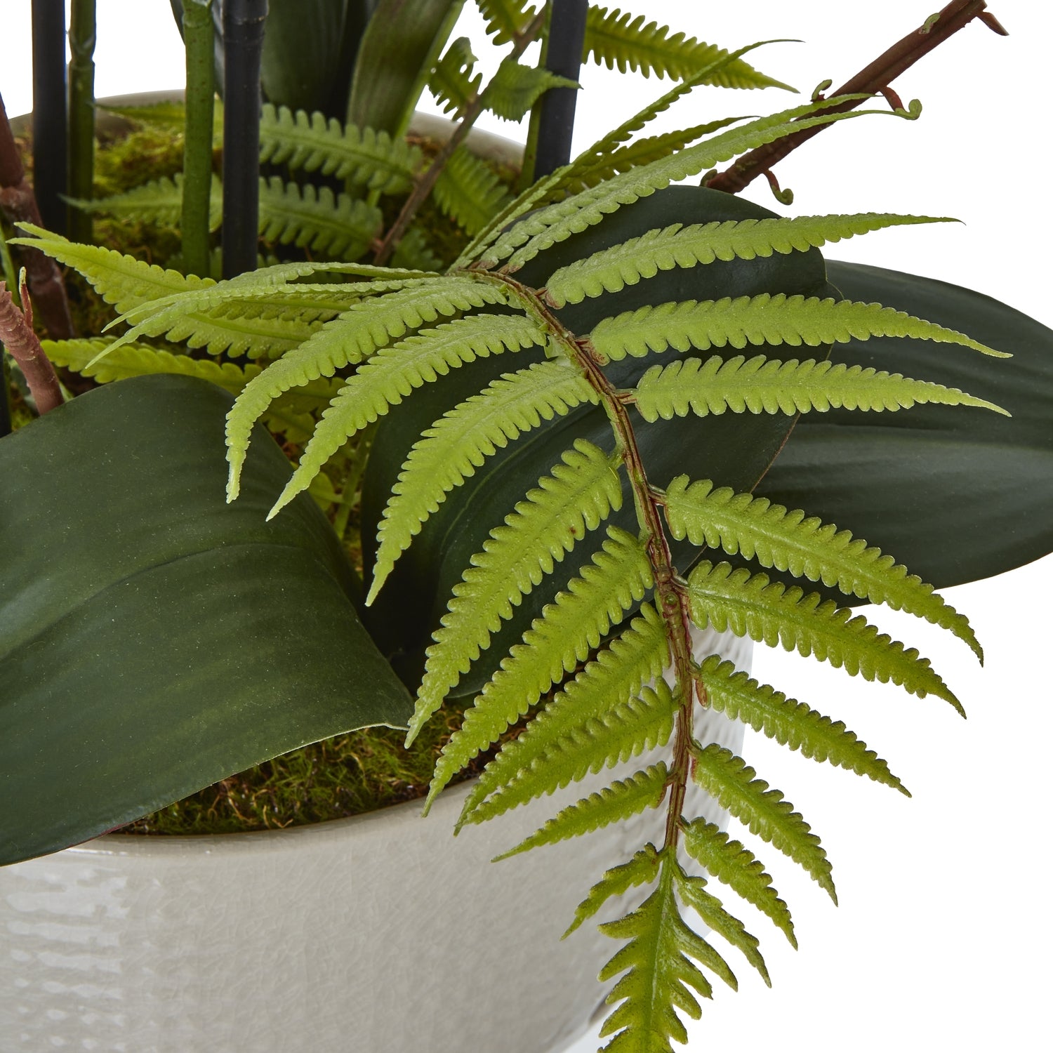Large White Orchid In Ceramic Pot - Skandi London